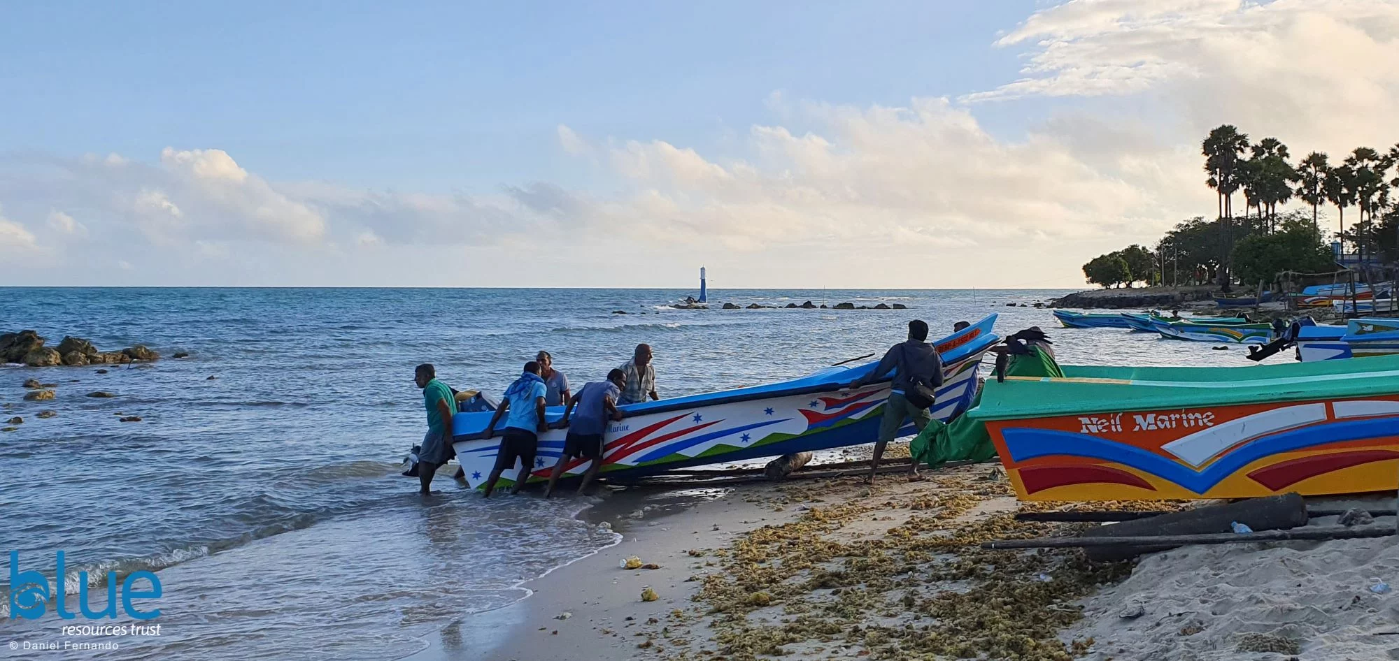Assessing the critical habitats of sharks and rays around Jaffna