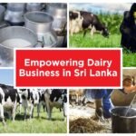 DFCC බැංකුව මෙරට කිරි නිෂ්පාදන කර්මාන්තය නගාසිටුවීම සඳහා නිර්මාණශීලී මූල්‍ය සම්පාදන වැඩසටහන් පෙළක් හඳුන්වා දෙයි