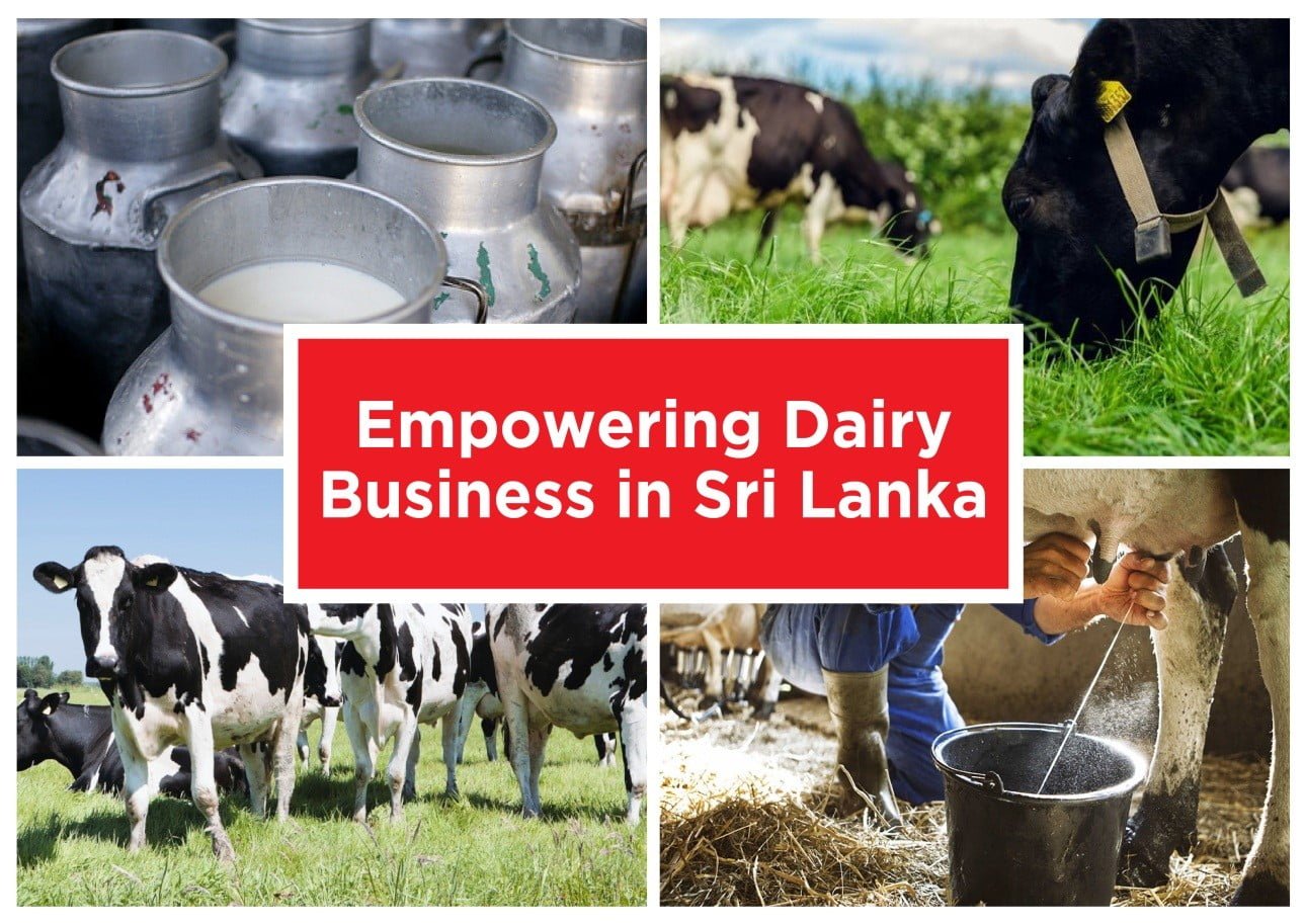 DFCC බැංකුව මෙරට කිරි නිෂ්පාදන කර්මාන්තය නගාසිටුවීම සඳහා නිර්මාණශීලී මූල්ය සම්පාදන වැඩසටහන් පෙළක් හඳුන්වා දෙයි