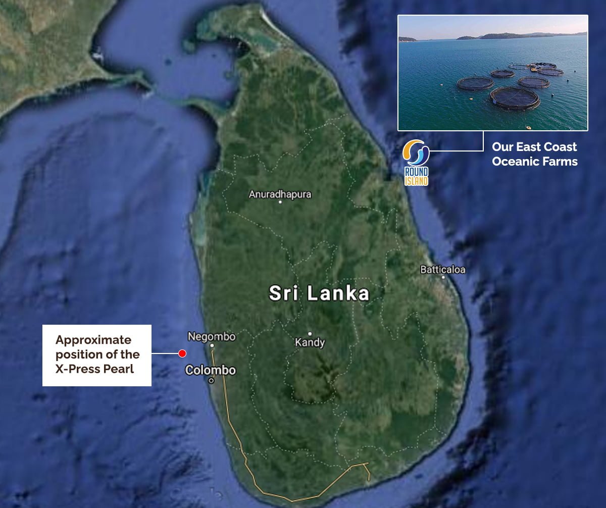 Don’t take seafood off the menu – Round Island urges concerned consumers