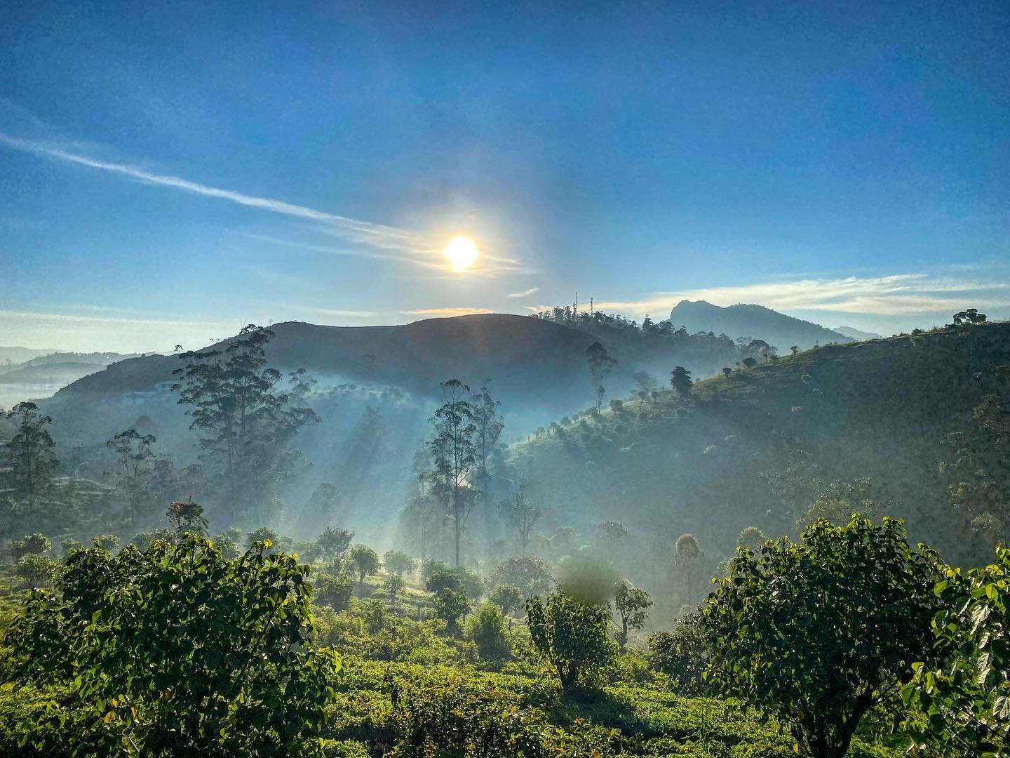 “GLX Digital Evolver” powers transformation of Tourism through Digital Evolution