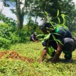 கிரிஸ்ப்ரோவின் ‘பசுமை பராமரிப்பு’இன் கீழ் மரம் நடும் திட்டம்