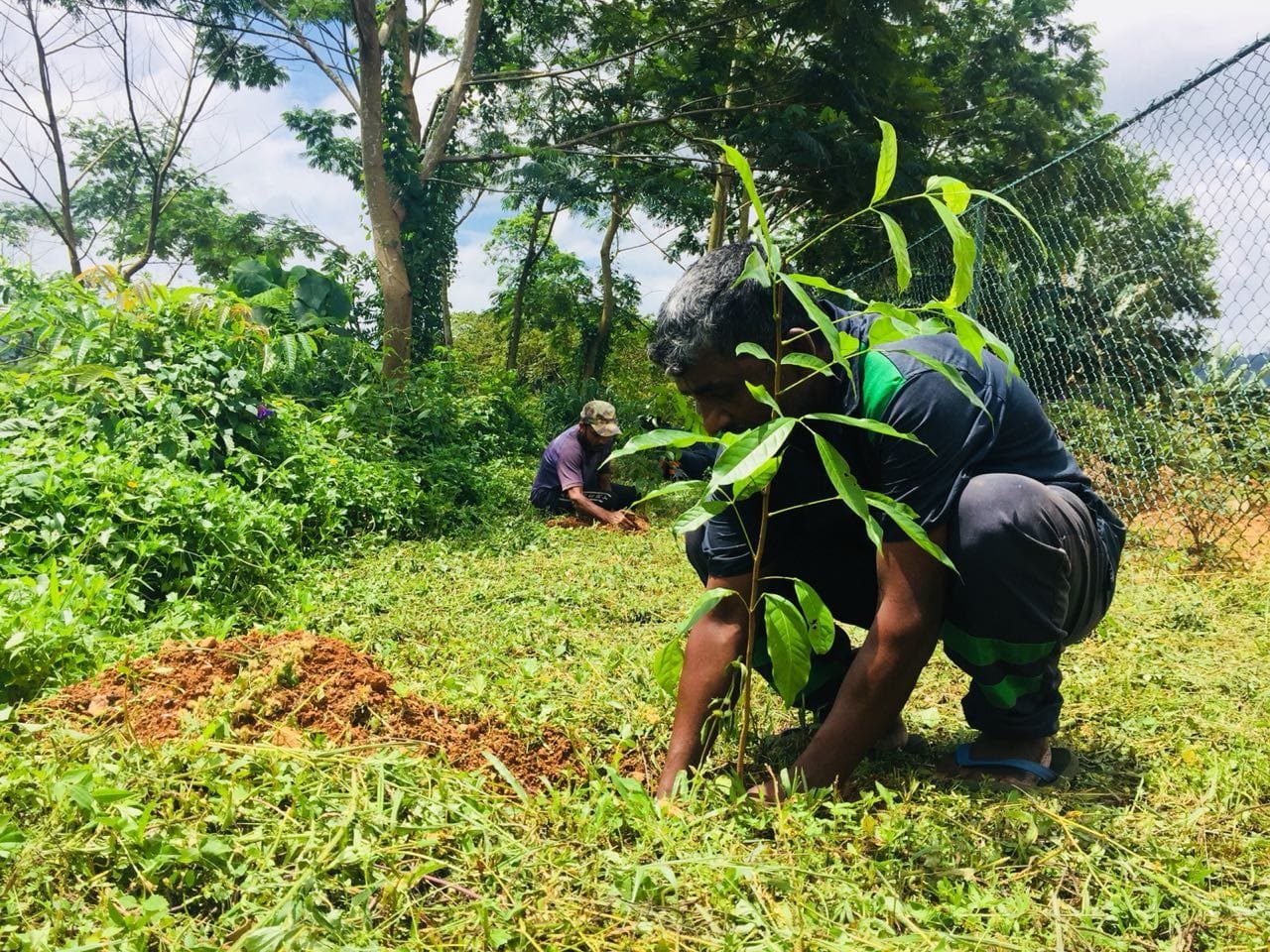 ක්‍රිස්බ්‍රෝ හරිත සත්කාර සමාජ වගකීම් ප්‍රවේශය තුළින් සෑම නව බඳවා ගැනීමක් වෙනුවෙන්ම පැළයක් රෝපණය කෙරේ