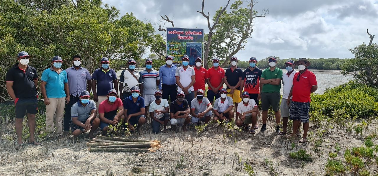 INSEE Further Cements Commitment to Environment with New Mangrove Restoration Project