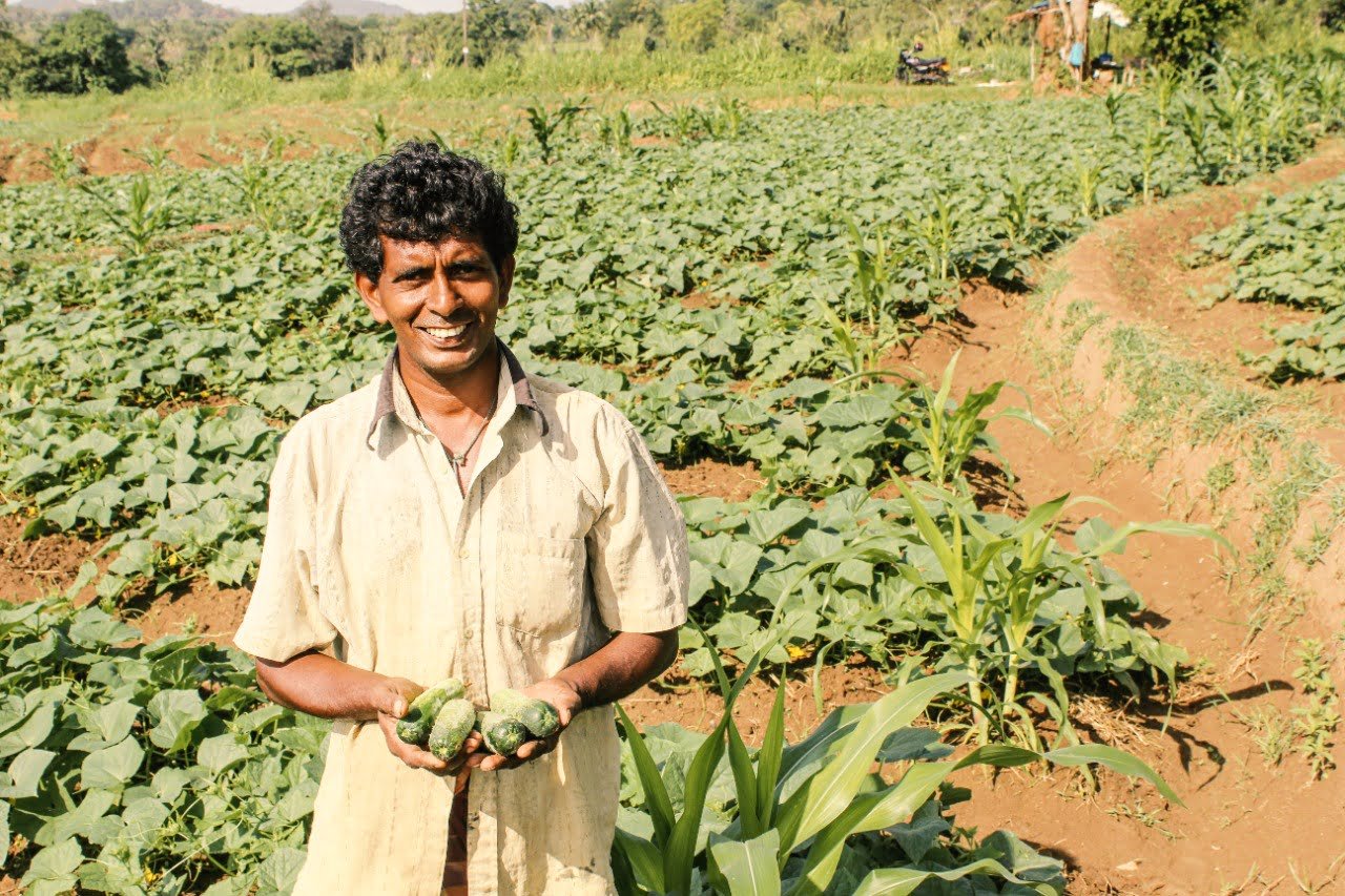 HJS Condiments expands out-grower network, connects smallholders to global supply chains