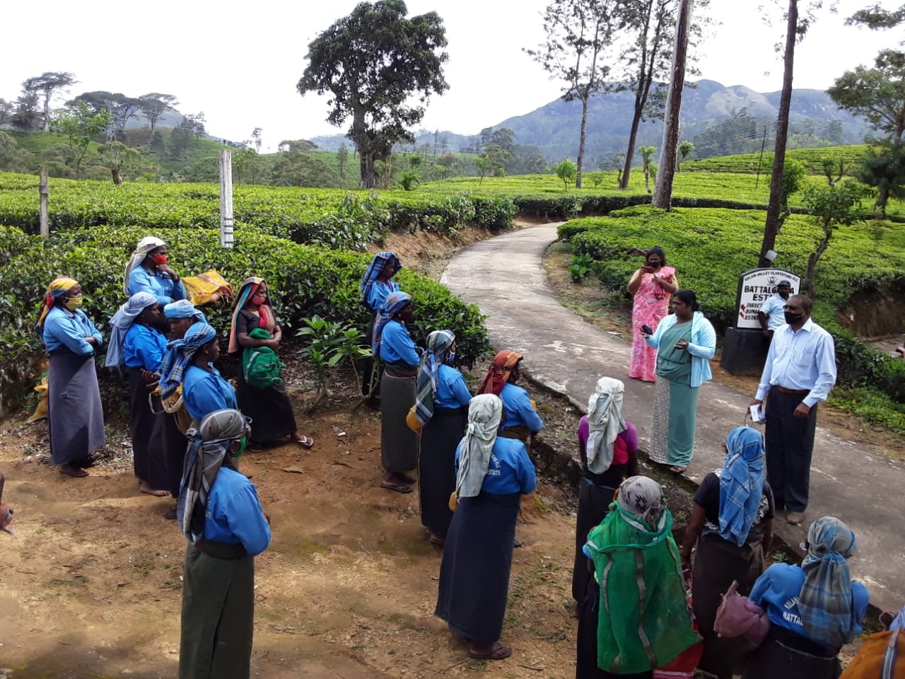 Driving gender equality in the plantation sector