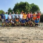 INSEE Cement to Launch Next Phase of Globally Acclaimed Mangrove Restoration Project in June