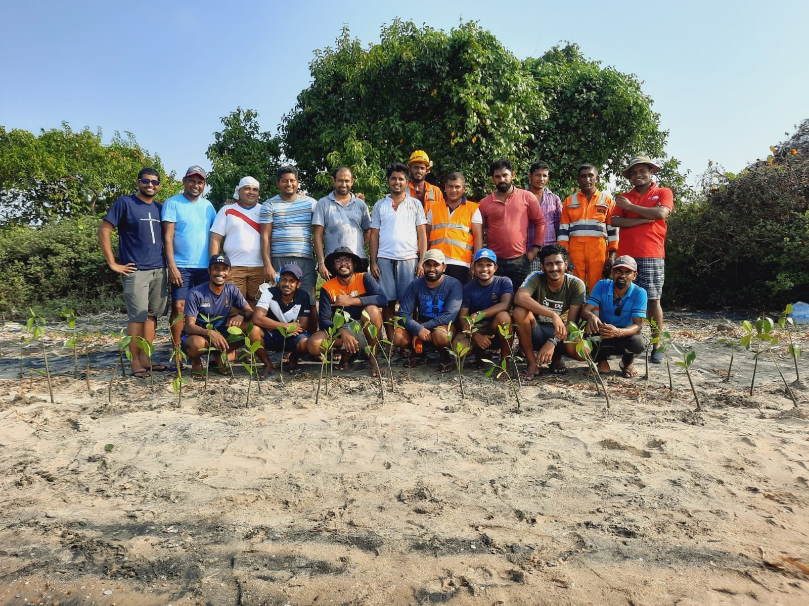 INSEE Cement to Launch Next Phase of Globally Acclaimed Mangrove Restoration Project in June
