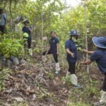 ජෝන් කීල්ස් පදනම 2022 ලෝක පරිසර දිනය වෙනුවෙන් ස්වේච්ඡා කණ්ඩායමක් සමග එක්වී සුදුවැලිපොත වන සංරක්ෂණ මෙහෙවරක