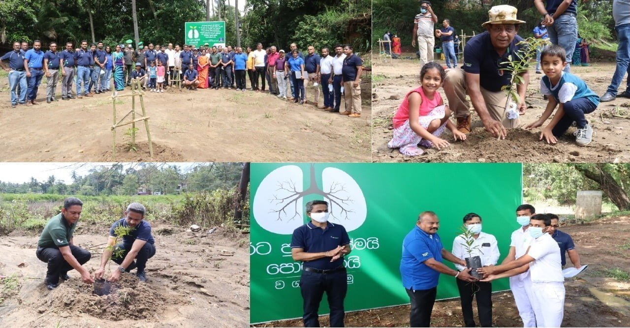 காலநிலை மாற்றத்துக்கு எதிராக போராடுவதற்கும் இலங்கைக்கு நீண்ட கால பெறுமதியை ஏற்படுத்துவதற்கும் சூழலுக்கு நட்பான நிலைபேறான திட்டங்களை SLT-MOBITEL முன்னெடுப்பு