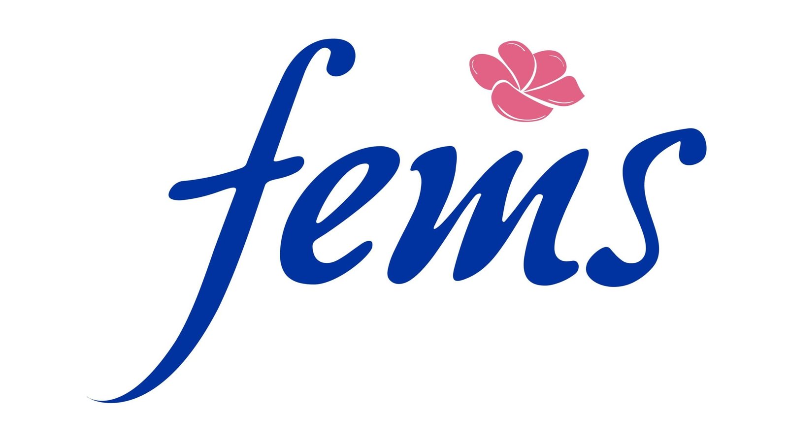 Fems joins Women’s Equality Day celebrations with continued efforts to women empowerment