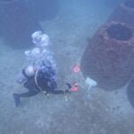 INSEE Cement Continues Biodiversity Conservation Efforts