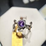 Reviving the Glory of Traditional Gem Trading: Aaraa & Aati launches Mini Ratnapura Market Auction