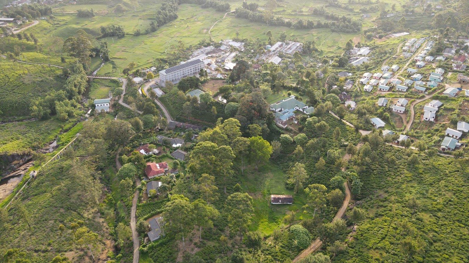 Bogawantalawa Tea Estates PLC celebrates World Environment Day 2023