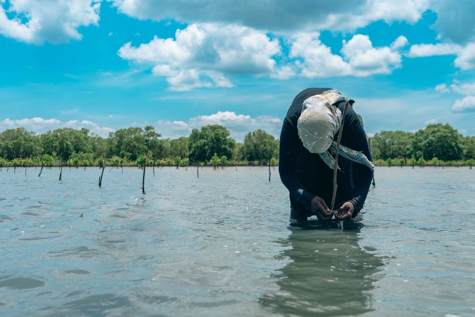 சதுப்புநில மறு சீரமைப்புக்காக Adore Me உடன் கைகோர்க்கும் MAS Foundation for Change
