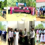 People’s Leasing & Finance PLC celebrates the World Environment Day – 2023