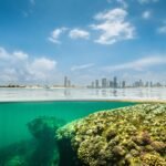 Port City Colombo Champions Coral Reef Conservation Amid Environmental Challenges