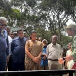 Tokyo Cement Encourages Forest-Bathing in The Horton Plains