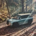 உலகின் முன்னணி மின்சார வாகன சந்தையில் முதலிடம்