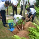 ලෝක පරිසර දිනයේදී HNB හරිත ශ්රී ලංකාවක් සඳහා වූ සිය කැපවීම යළි අවධාරණය කරයි