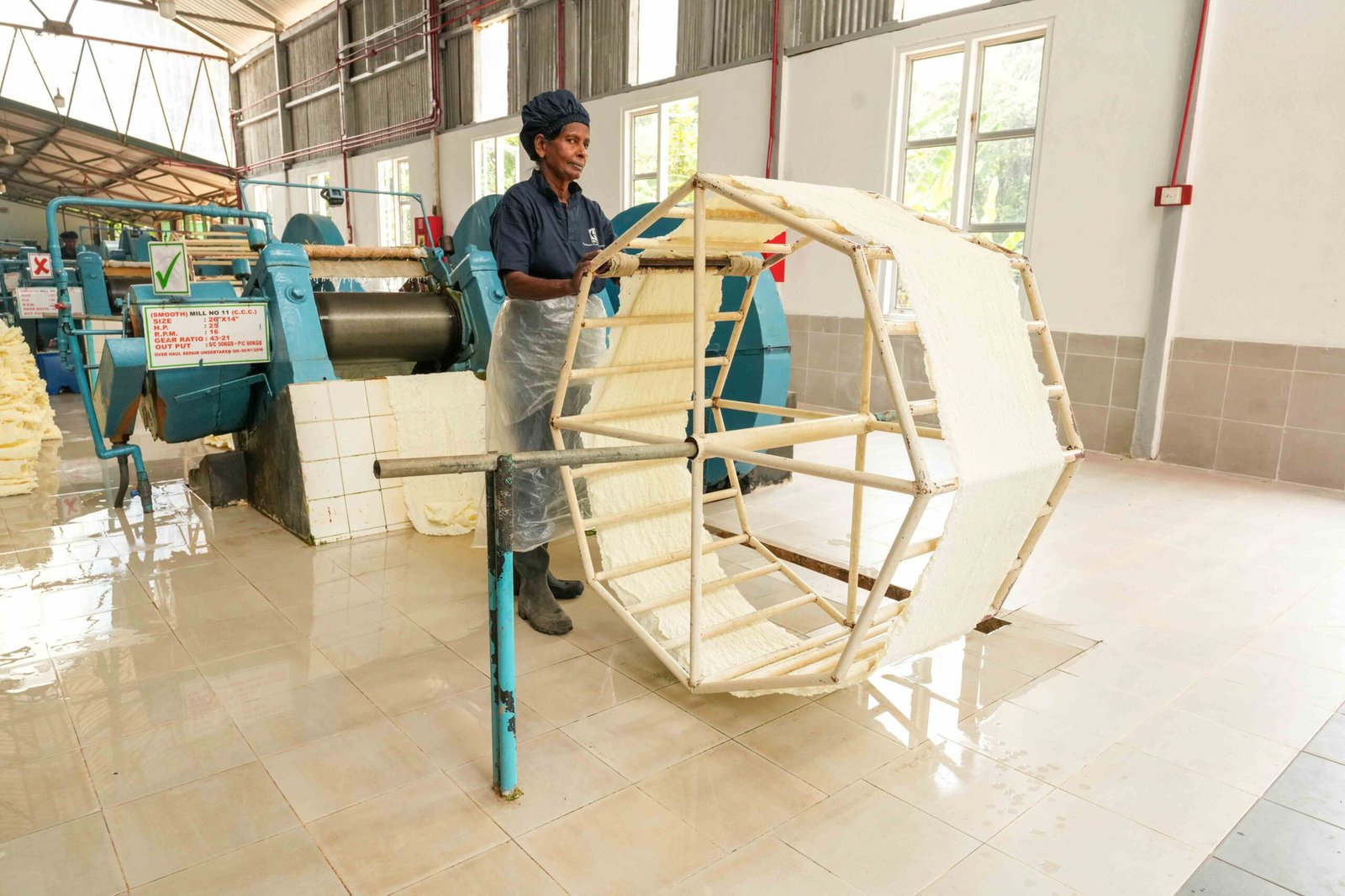 HPL becomes the first in Sri Lanka to comply with European Union Deforestation Regulations