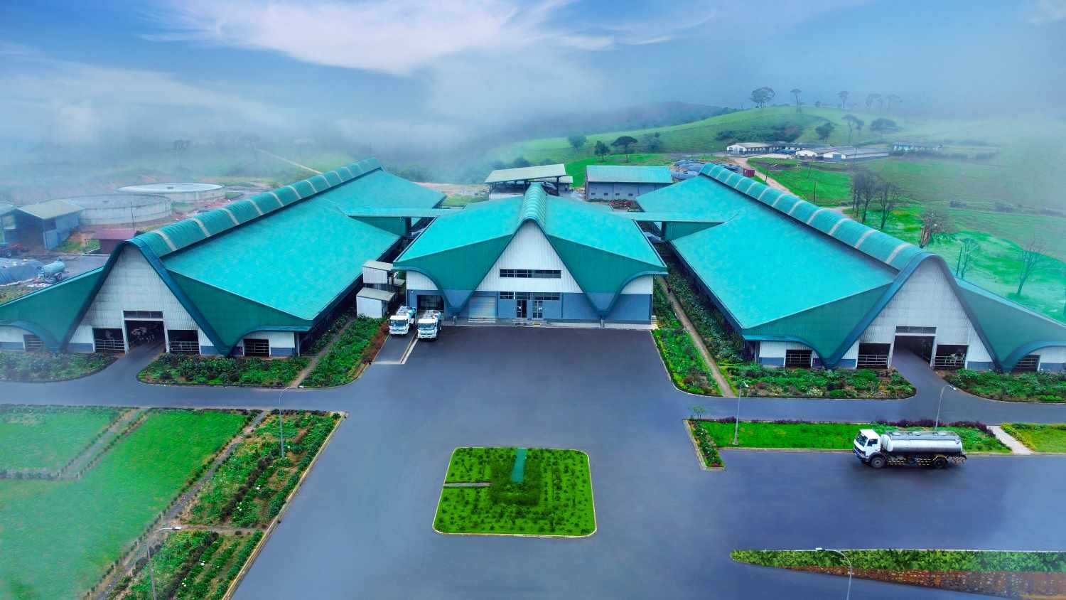 Ambewela Farms Achieves Record-Breaking Daily Milk Production of 60,000 Litres