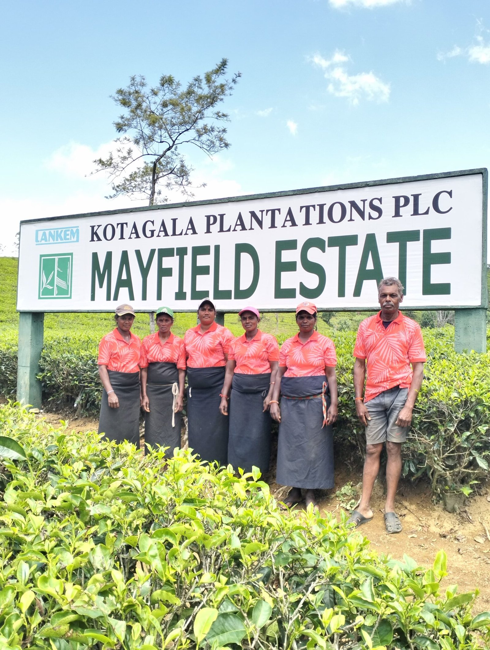 The Transformational Journey of Women in Sri Lanka’s Plantation Industry