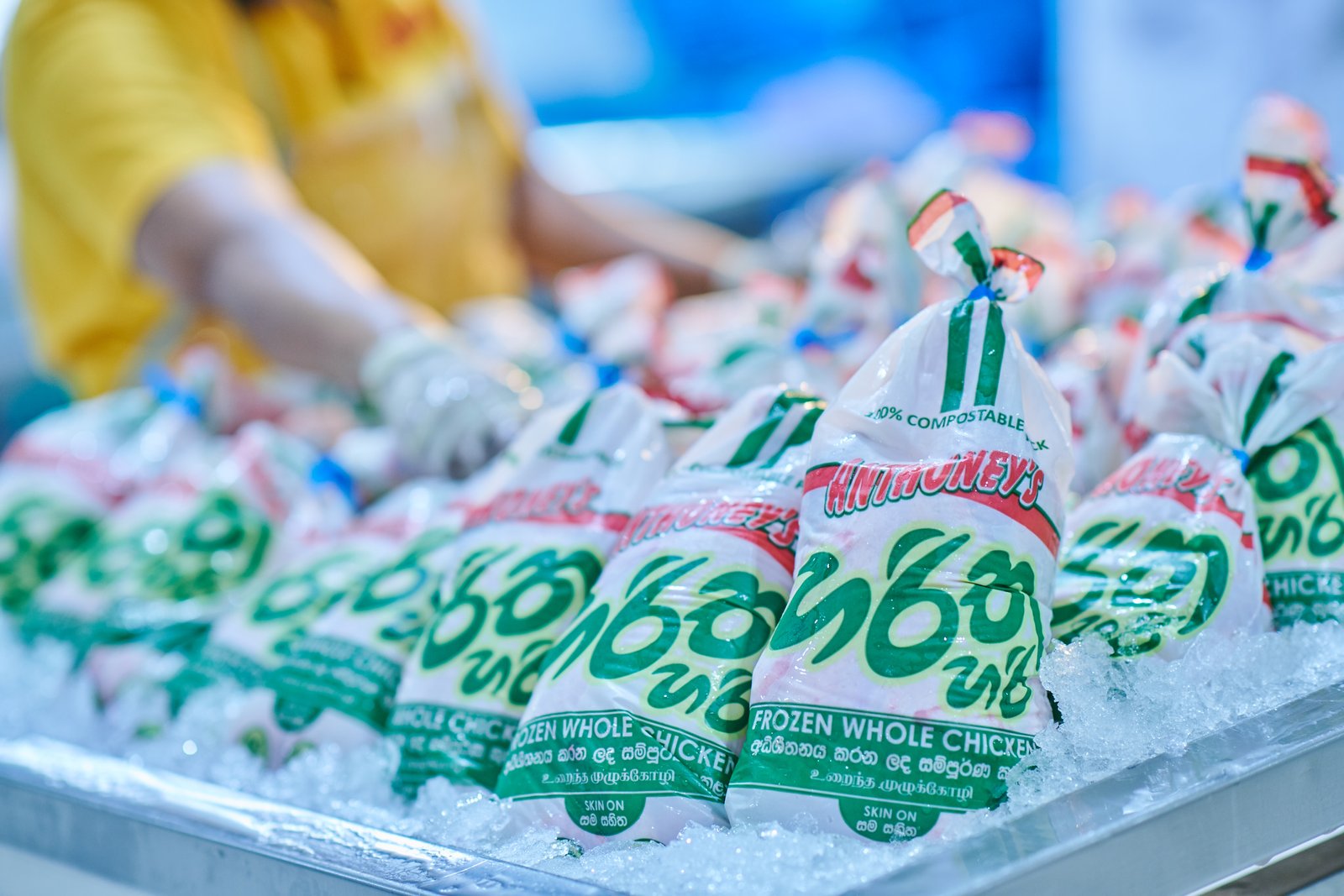 Not Just Chicken: How New Anthoney’s HarithaHari Is Leading a Protein Revolution in Sri Lanka