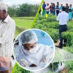 DIMO Agribusinesses Elevates Farmers into Agripreneurs