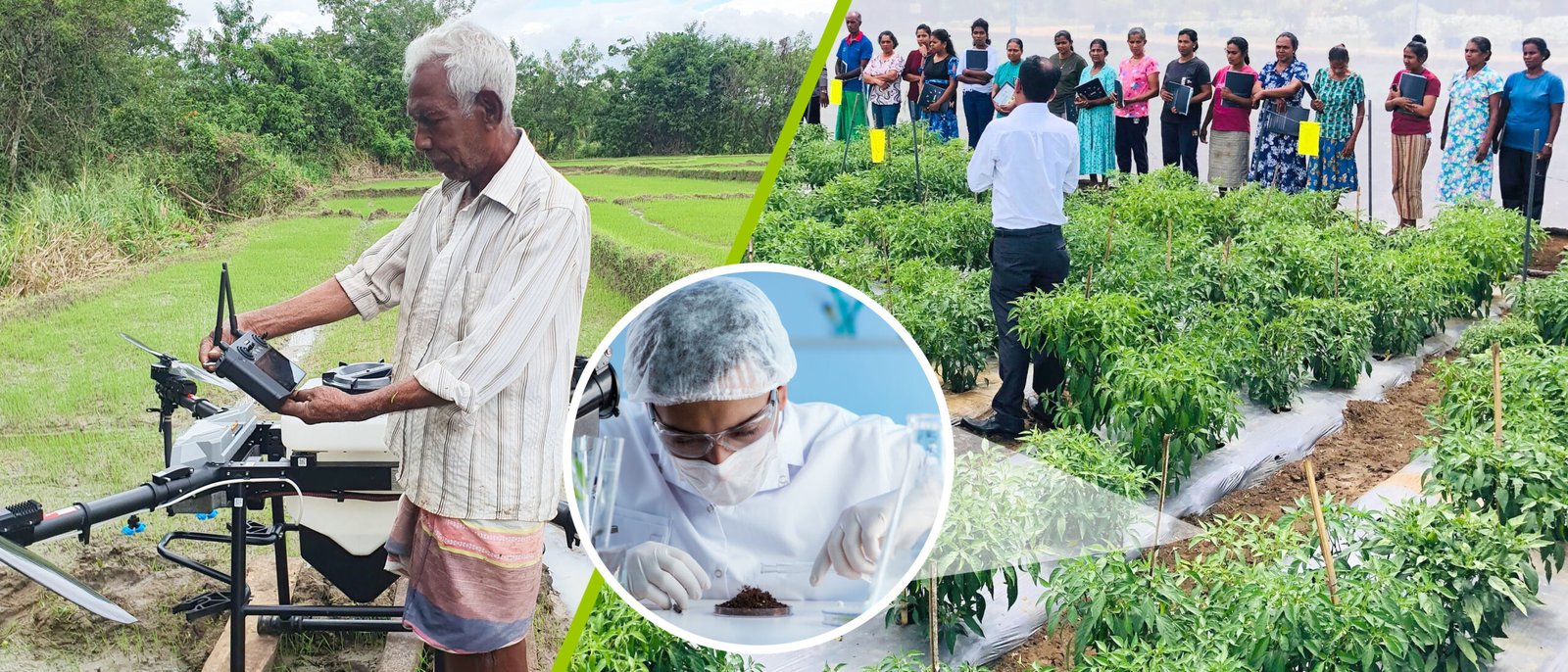 DIMO Agribusinesses Elevates Farmers into Agripreneurs