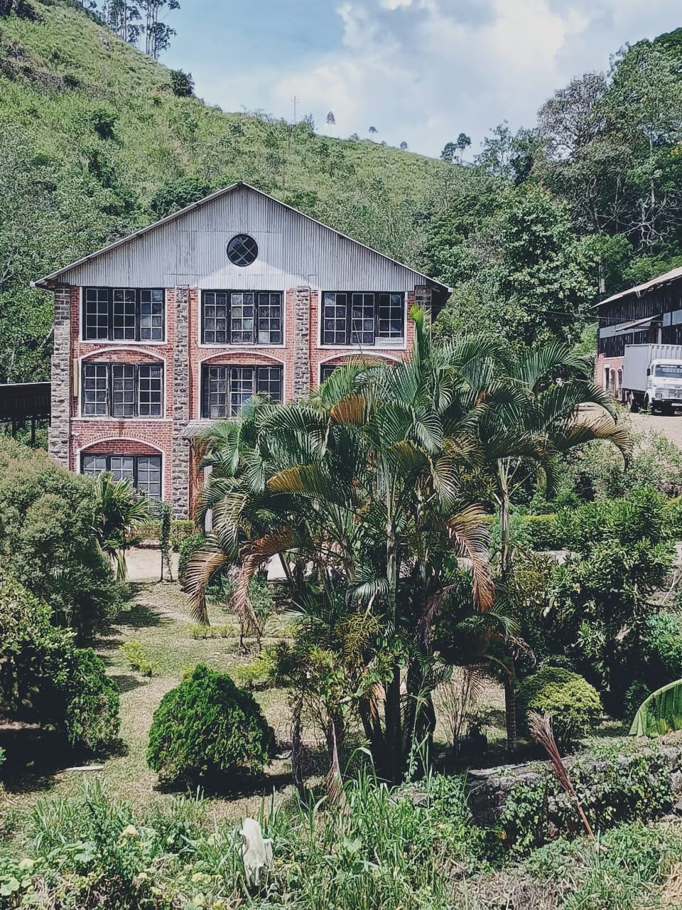 A Journey Through Demodera Estate’s Tea and Heritage