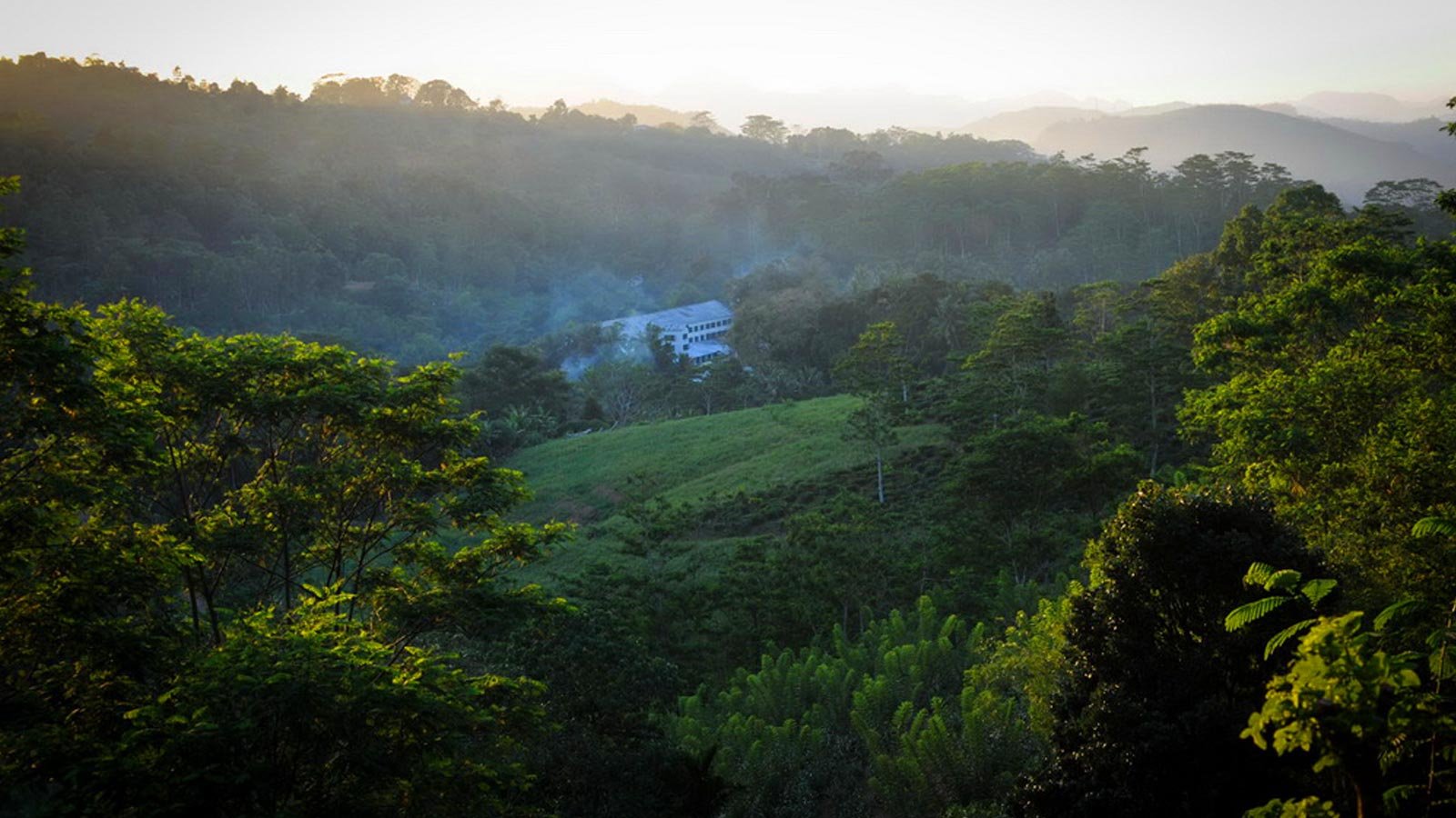 Kahawatte Plantations Redefines the Future of Sri Lanka’s Plantation Industry Through Sustainable Innovation, Community Empowerment and Profitability