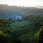 நிலையான புத்தாக்கம், சமூக வலுவூட்டல் மற்றும் இலாபத்தன்மையுடன் நாட்டின் பெருந்தோட்டத் துறையை மறுவடிவமைத்து வரும் கஹவத்தே பிளாண்டேஷன்ஸ்