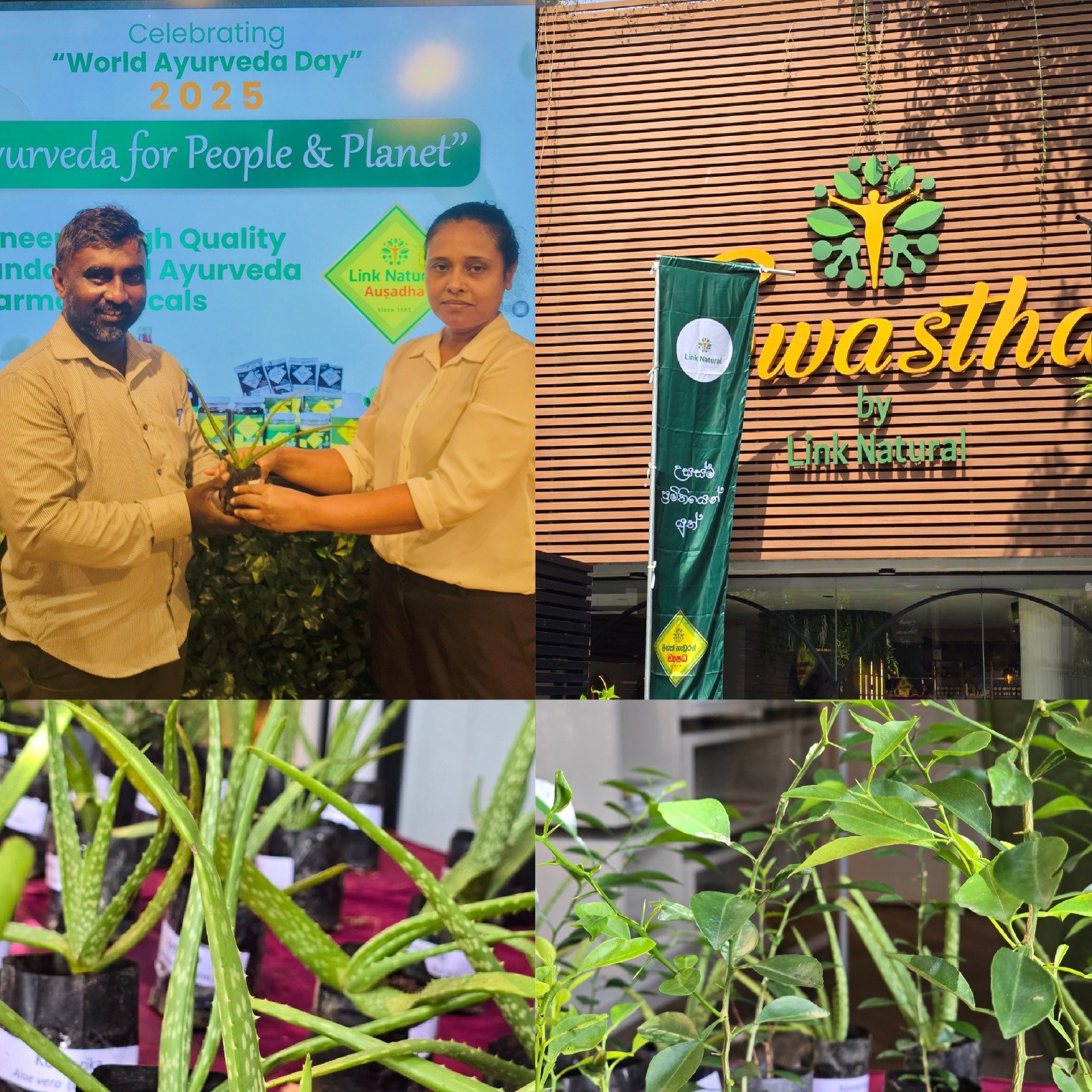 මිනිසා සහ මිහිකත වෙනුවෙන් ආයුර්වේදය 