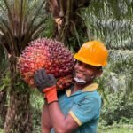தேசிய பொருளாதார மீட்புக்காக ஃபாம் ஒயில் செய்கையை மீண்டும் ஆரம்பிக்க அரசாங்கத்தை வலியுறுத்துகிறது பெருந்தோட்ட முதலாளிமார் சம்மேளனம்