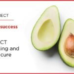 DFCC බැංකුව iConnect 2.0 හරහා මෙරට ව්යාපාර සවිබල ගන්වයි