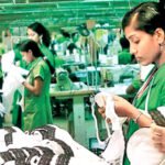 2025 ஆகஸ்ட் மாதத்திற்கான ஆடை ஏற்றுமதி தரவு